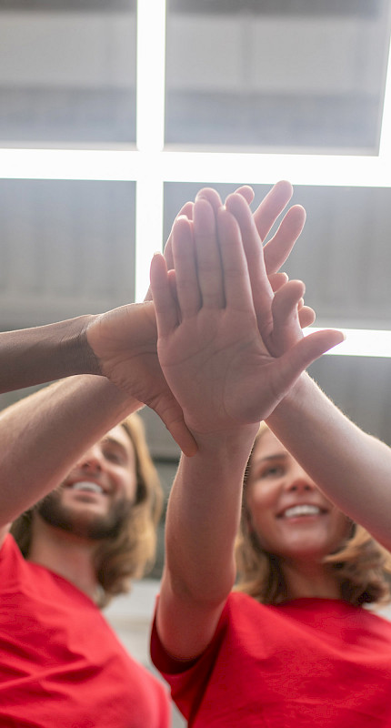 Rescue Strong, Bergungstragen